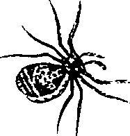 114/114080060000570_0.png