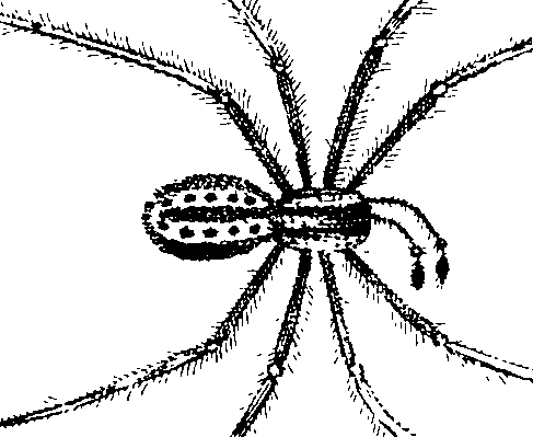 114/114080060000650_0.png