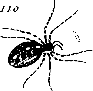 114/114080060000660_0.png