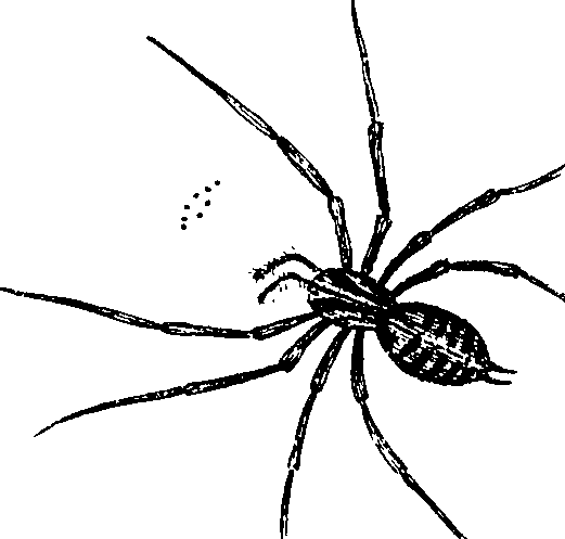 114/114080060000660_1.png