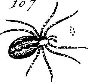 114/114080060000660_2.png