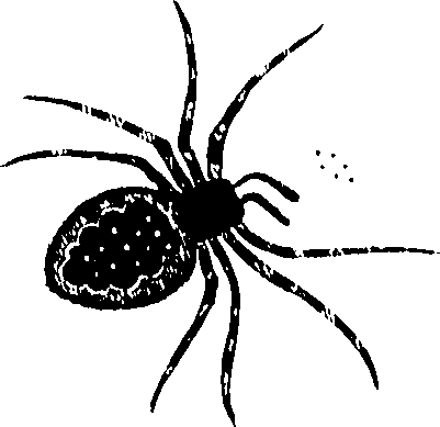 114/114080060000690_0.png