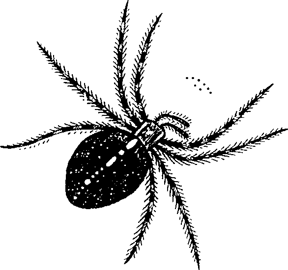 114/114080060000690_2.png
