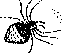 114/114080060000720_0.png