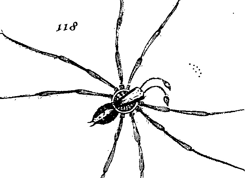 114/114080060000720_1.png