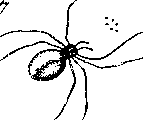 114/114080060000720_2.png