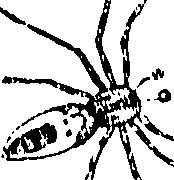 114/114080060000750_0.png