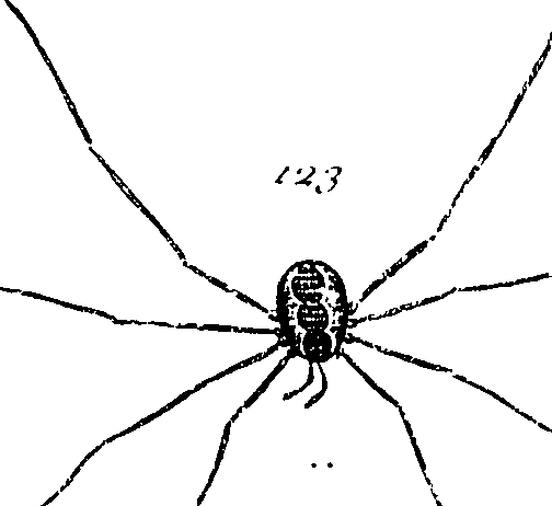 114/114080060000750_1.png