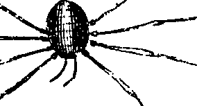 114/114080060000760_0.png