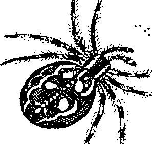 114/114080060000790_0.png