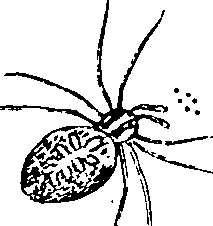 114/114080060000820_1.png
