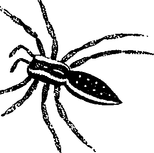 114/114080060000850_0.png