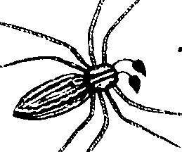 114/114080060000850_1.png