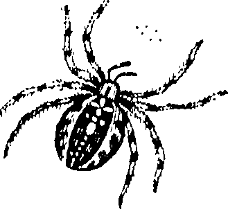 114/114080060000910_0.png
