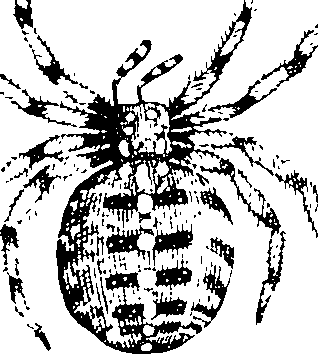 114/114080060000910_1.png