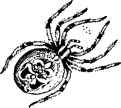 114/114080060000910_2.png