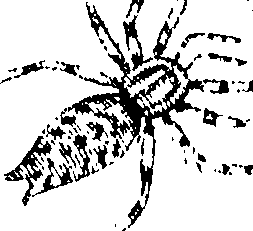 114/114080060000940_0.png