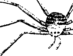 114/114080060000970_0.png
