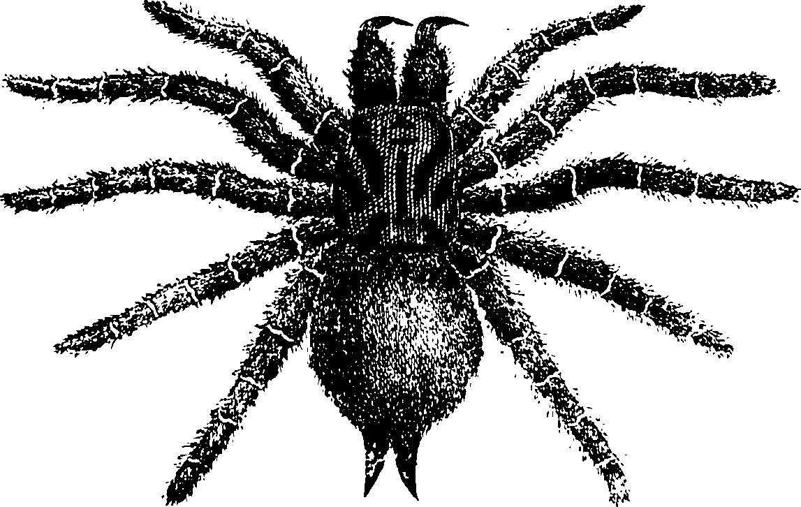 114/114080060001010_0.png