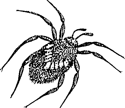 114/114080060001050_0.png