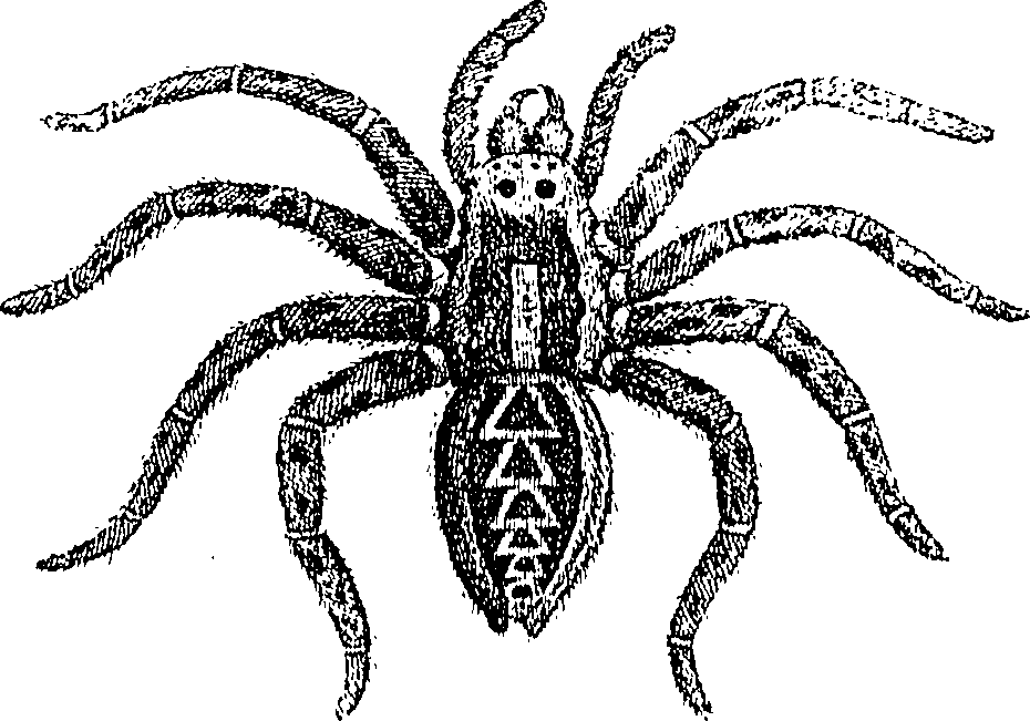 114/114080060001190_0.png