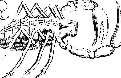 114/114080060001230_0.png