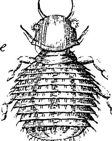 114/114080060001230_1.png
