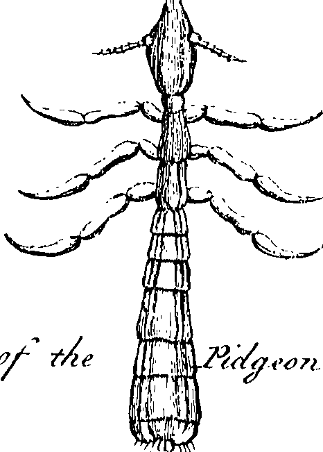 114/114080060001360_0.png