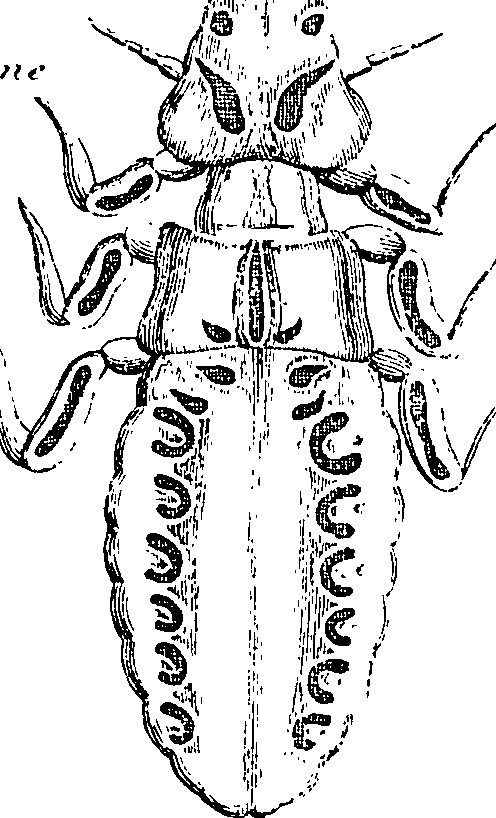 114/114080060001370_1.png