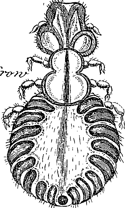114/114080060001400_1.png