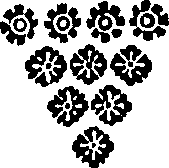 114/114220040203370_0.png