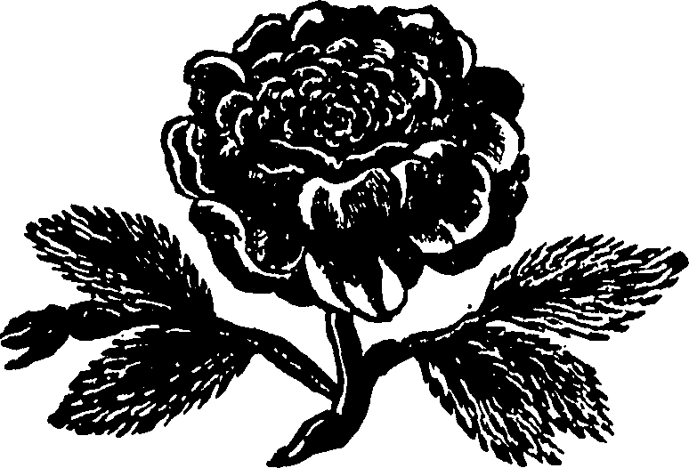 114/114270150000410_0.png
