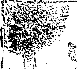 114/114310320000050_0.png