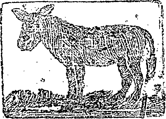 114/114310320000070_0.png