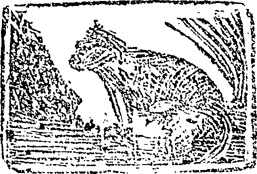 114/114310320000140_0.png