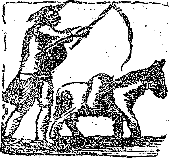114/114310320000220_0.png