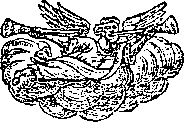 114/114320070003980_0.png