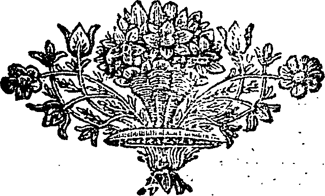 114/114330040000880_0.png