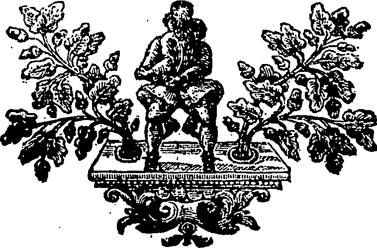 114/114340080201380_0.png