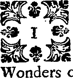 114/114340080201680_0.png