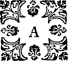 114/114340080202880_0.png