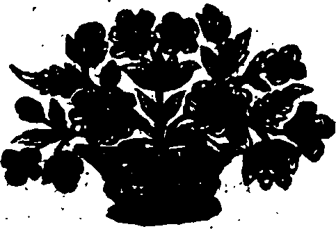 114/114410010001510_0.png