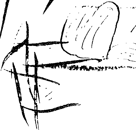 114/114410010004300_0.png