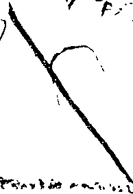 114/114410010004300_1.png