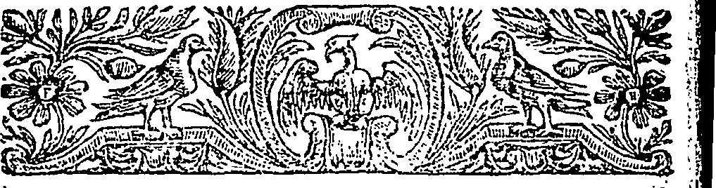 114/114440020000040_1.png