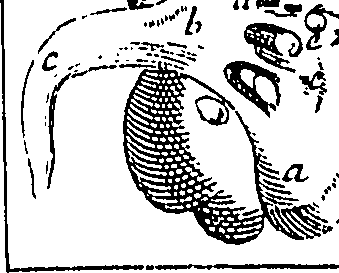 114/114440040001250_0.png