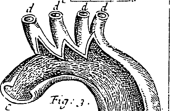 114/114440040001560_0.png