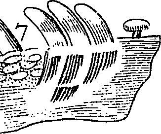 114/114440040002480_1.png