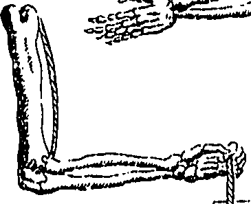114/114440040002690_0.png