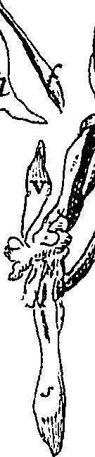 114/114440040003100_0.png